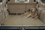 Pet Travel Products