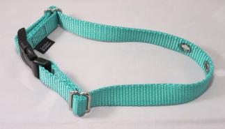 Teal Nylon Replacement Dog Collar