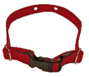 Dog Fence Replacement Straps